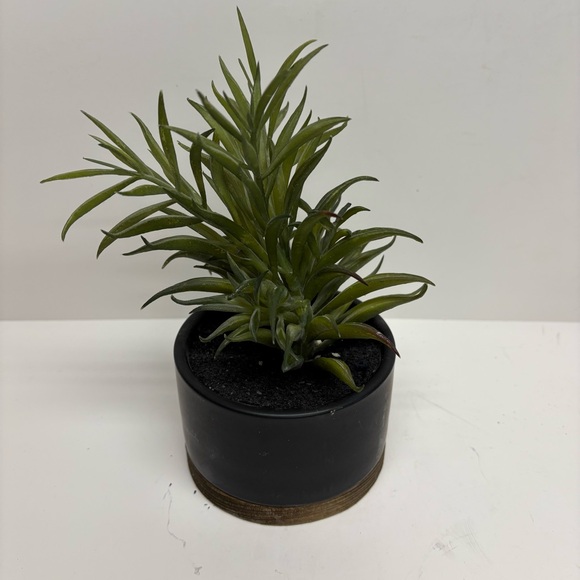 Threshold Potted Faux Succulent Plant Indoor Plant Porch Decor - Picture 3 of 7